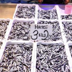 Trabzon'daki balıkçı tezgahlarında hamsinin kilogramı 75 liradan satılıyor