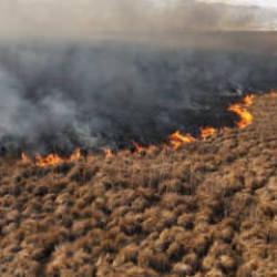 Nehil Sazlığı'ndaki yangın 4 g&uuml;n sonra s&ouml;nd&uuml;r&uuml;ld&uuml;