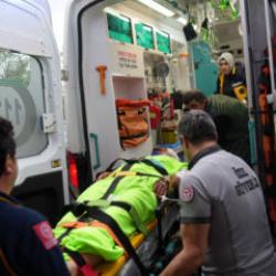 Yer: Kastamonu! İmam ayı saldırısına uğradı