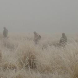 Erzurum'da 65 yaşındaki çoban 160 koyunla kayboldu