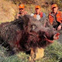 Tekirdağ'da avcıları şaşırtan av: Kilosuna inanamadılar! 