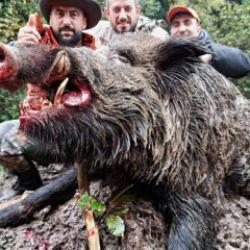 Trabzon'da avladılar! Cüsseleri korkutucu büyüklükte