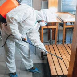 B&ouml;cek ailesinin &ouml;l&uuml;m&uuml;nde g&ouml;zler oraya &ccedil;evrildi: 3 şirketten biri kayıtdışı!