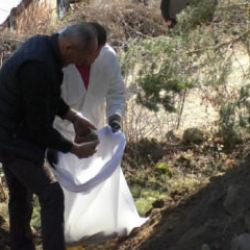 Bolu'da 180 mezar açıldı! Evladını ikinci kez gömen acılı baba konuştu