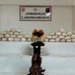 Diyarbakır'da uyuşturucu operasyonu: 25 şüpheli yakalandı