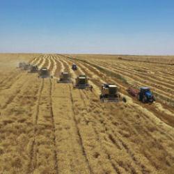 Kalkınma programları kırsal bölgelere iş ve aş oluyor! Binlerce kişiye istihdam sağlandı