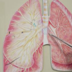 KOAH ölüm listesinde 3. sıraya yerleşti: Risk kış aylarında daha da artıyor!