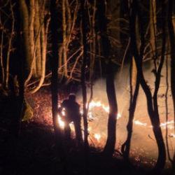 Ordu'da korkutan yangın! Ekipler m&uuml;dahale ediyor