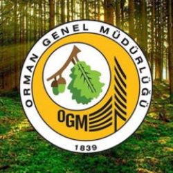 Orman Genel Müdürlüğünün 496 sözleşmeli personel alımına ilişkin detaylar belli oldu