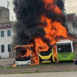 Park halindeki otob&uuml;sler cayır cayır yandı