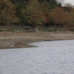 Sapanca G&ouml;l&uuml;'nde esrarengiz g&ouml;r&uuml;nt&uuml;