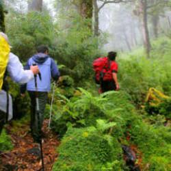 Şili'de doğa yürüyüşü yapan 5 turist fırtınada öldü, 7 kişi aranıyor!