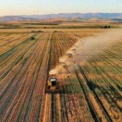 Tarım ÜFE ekimde arttı