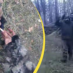 Ukrayna saflarındaki bir Amerikalının dört Rus askerini esir aldığı anlar