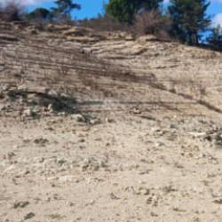 16 yıl önce yaşanan felaket kuraklığın ardından bir kez daha gündeme geldi