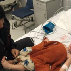 Ankara'da pitbull 2 çocuğa saldırdı