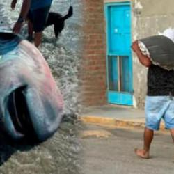 Bilim dünyası için servet değerindeydi! Endemik balık üç dakikada fileto oldu!