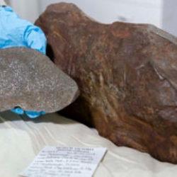 Bulduğu taşı altın sandı! Çok daha değerli çıktı