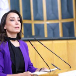 DEM Parti'li Hatimoğulları'ndan 'Terörsüz Türkiye' mesajı