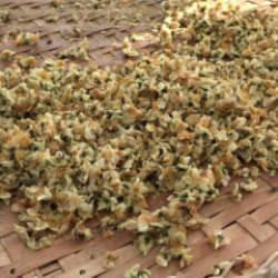 Doğu Karadeniz'in yeni gözdesi: Kilosu 6 bin liradan satılıyor