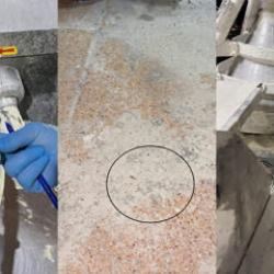 Fırına giren ekipler şoke oldu: Mide bulandıran g&ouml;r&uuml;nt&uuml;! B&ouml;cek &ccedil;eşidi saymakla bitmedi