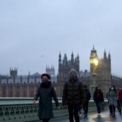 Gündelik hayatta fark edilmeyen gerçekler! Dünyada tavuk sayısı insan sayısından fazla...