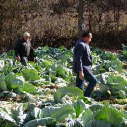İki kardeş ayrılmadı! Eltiler zorunlu olarak anlaşmaya başladı