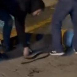 Şanlıurfa'da bı&ccedil;aklı kavga: 3 yaralı