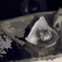 Sultangazi‘deki düğün salonunda gizli kamera skandalı: Sahibi gözaltına alındı