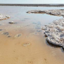 T&uuml;rkiye'nin ikinci b&uuml;y&uuml;k g&ouml;l&uuml;nde b&uuml;y&uuml;k alarm: Sular &ccedil;ekilince ortaya &ccedil;ıktı!