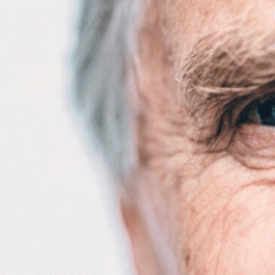 Yaşlanma hızının dönüm noktası ortaya çıktı! Bilim dünyası kritik yaşı açıkladı