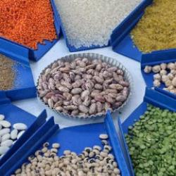 Yeşil mercimek ve yulaf ithalatında gümrük vergileri düşürüldü