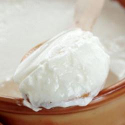 Yoğurt yapmak i&ccedil;in en iyi s&uuml;t meğerse buymuş: Lezzeti 10 kat artıyor