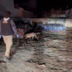 Zehir tacirlerinden 'pes artık' dedirten y&ouml;ntem