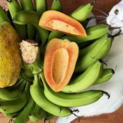 Dün alıyorduk bugün dünyaya satıyoruz: Diktikten 1 yıl sonra para basıyor!