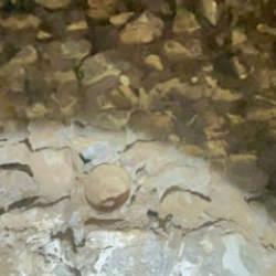 Batman'da yeraltında cami bulundu: Mimarisi şaşkına çevirdi