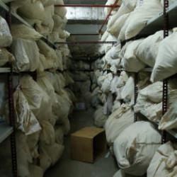 B&uuml;y&uuml;k&ccedil;ekmece Adliyesi'nde dev vurgun! Başsavcılığın emanet kasası soyuldu