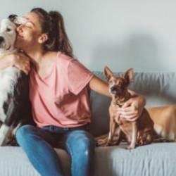 Dayanaklı ve şık: Evcil hayvanlı evde doğru koltuk se&ccedil;imi