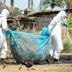 Kongo'da Ebola salgını sona erdi