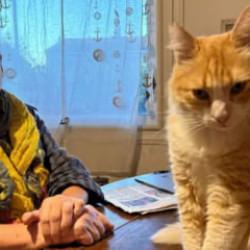 Dünyada bir ilk: Ağır suçlamalar nedeniyle kediye ev hapsi verildi!