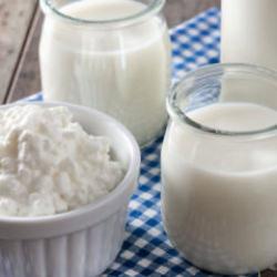 Evde Probiyotik İ&ccedil;ecek: Kefir Yapımı