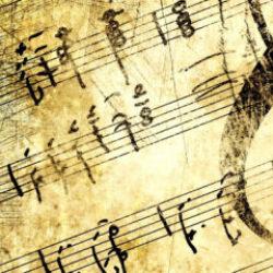 İspanya'daki o kabuklar meğer en eski enstrümanmış İşte insanlığın en eski müzik aleti!