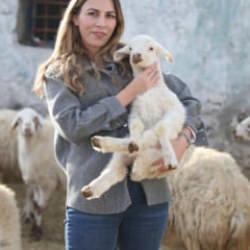 İstanbul'dan köyüne dönüp hayvancılığa başlayan kadın 3 yılda sürüsünü 4'e katladı