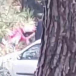 İzmir’de ormanlık alanda kadını darbeden şahıs yakalandı