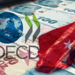 OECD açıkladı! Türkiye, dünyanın en hızlı büyüyen dördüncü ekonomisi oldu!