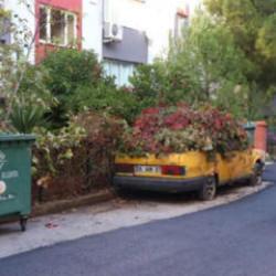 Otomobil 8 yıl sonra bu hale geldi: Gören inanamadı