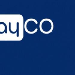 PAYCO Elektronik Para'ya el kondu! Arex Sigorta'ya kayyum atandı