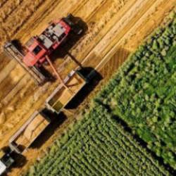 Rusya’dan Türkiye’ye tarım ihracatı %85 arttı: Ulusal marka Made in Russia bu artışta nasıl bir rol oynadı