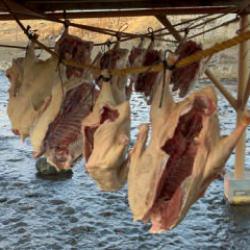 Sofraların vazgeçilmezi ocak ayına hazırlanıyor: Kilosu 2 bin liradan satılıyor