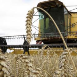 Üreticilere kasımda 376,8 milyon lira destekleme ödemesi yapıldı